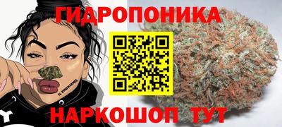 спиды Шахты