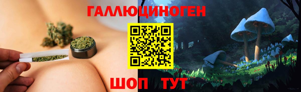 Нижнеудинск  Псилоцибиновые грибы GOLDEN TEACHER  Вход с VPN 